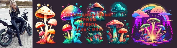 соль ск Гусь-Хрустальный