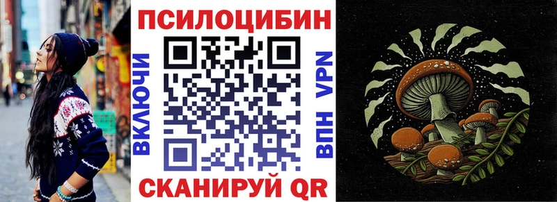 Купить где  Кимовск  Псилоцибиновые грибы прущие грибы 