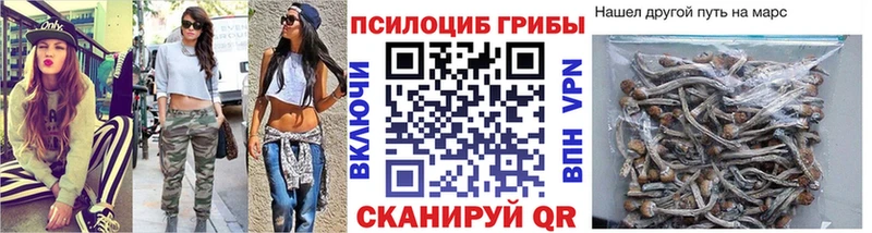 Псилоцибиновые грибы Psilocybine cubensis Кимовск